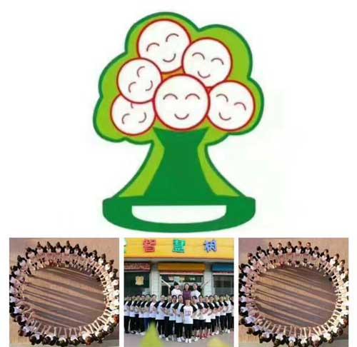 教育智慧樹(shù) 一改傳統(tǒng)的教學(xué)方式